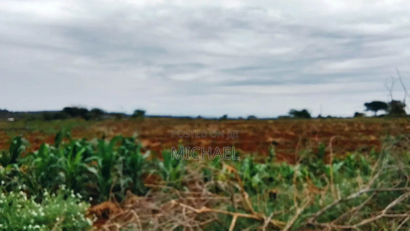 3 Acres Prime Farmland – Loitoktok | 4km From Tarmac | Freehold T in Loitoktok