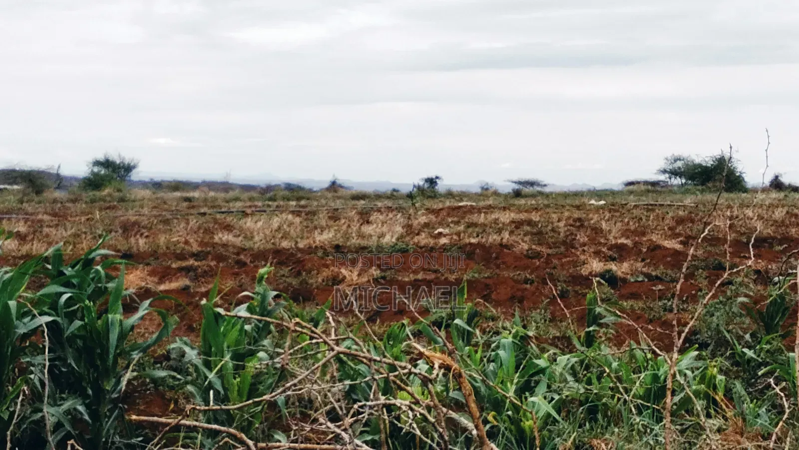 3 Acres Prime Farmland – Loitoktok | 4km From Tarmac | Freehold T in Loitoktok