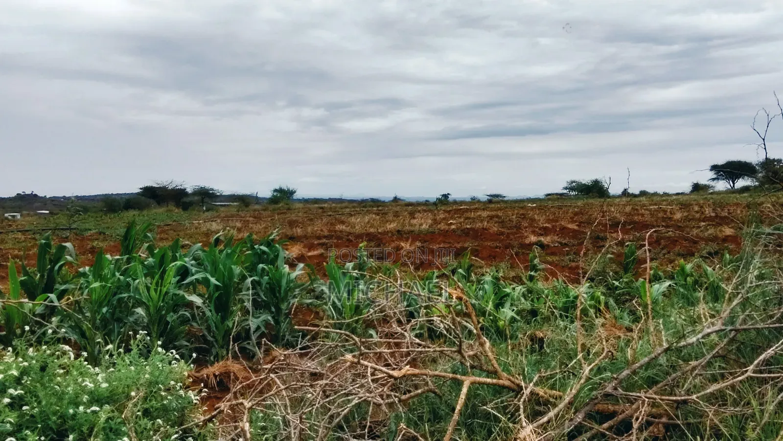 3 Acres Prime Farmland – Loitoktok | 4km From Tarmac | Freehold T in Loitoktok