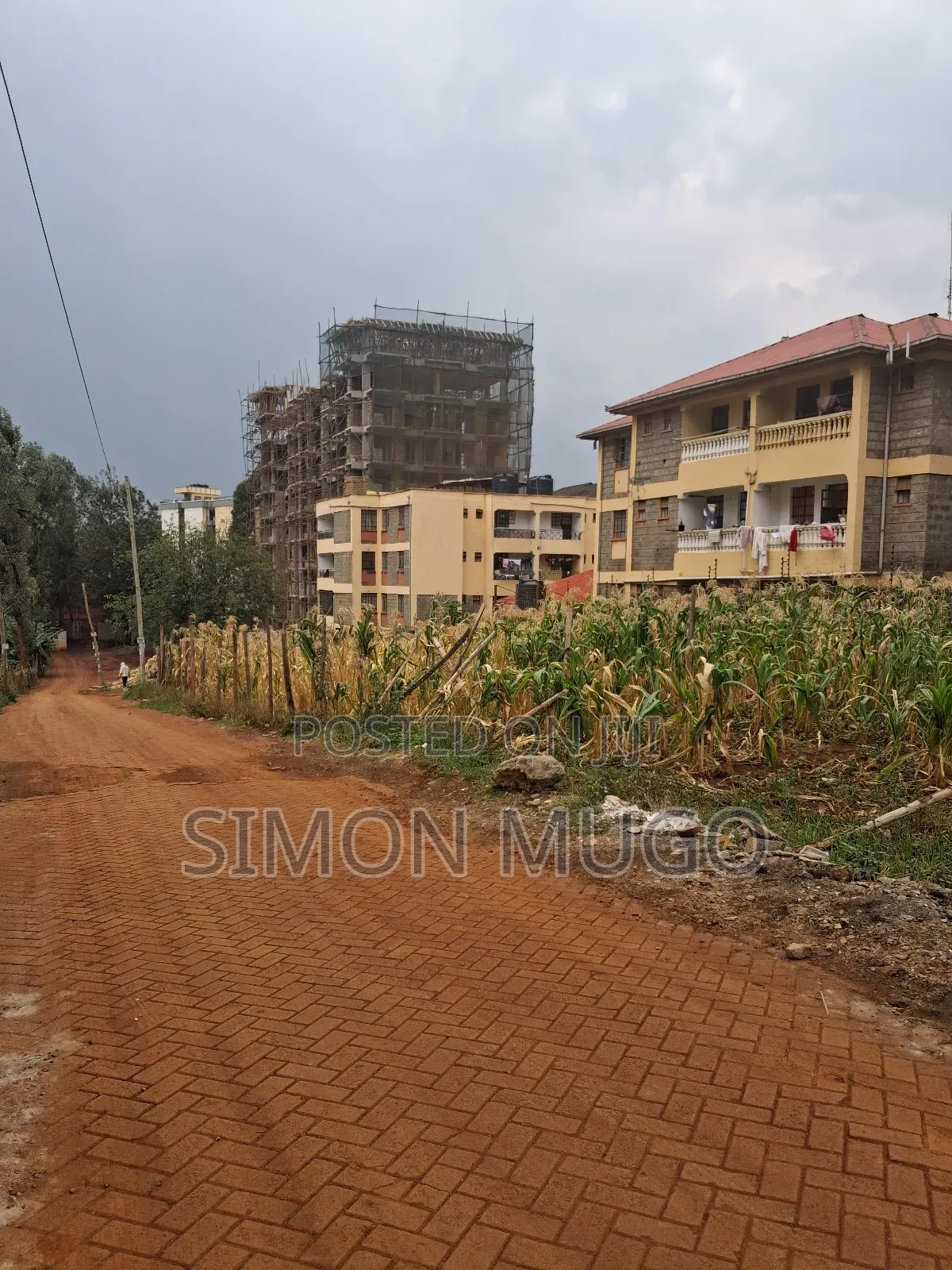 Ruaka Township Prime Commercial 45x130 in Ruaka