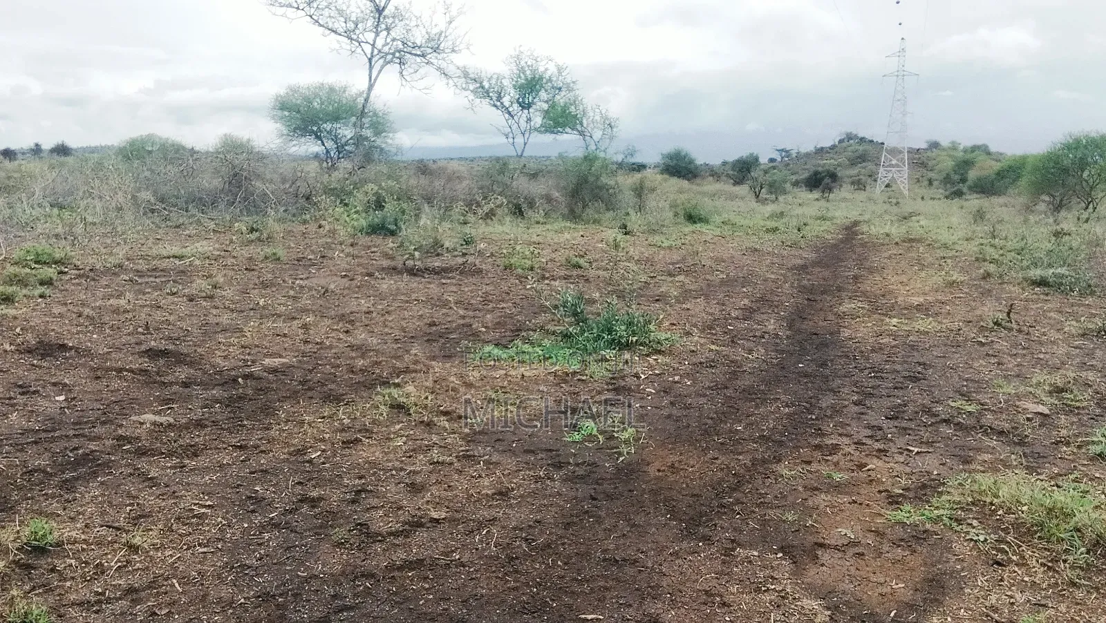31 Acres for Sale Freehold Titles | Great Investment in Mbirikani