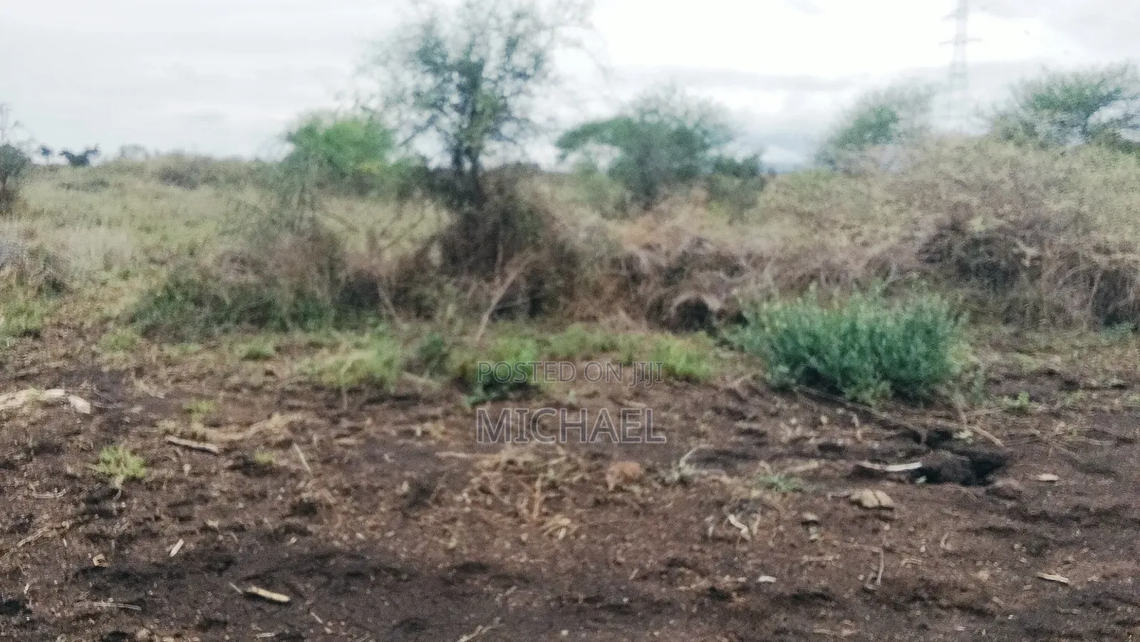 31 Acres for Sale Freehold Titles | Great Investment in Mbirikani