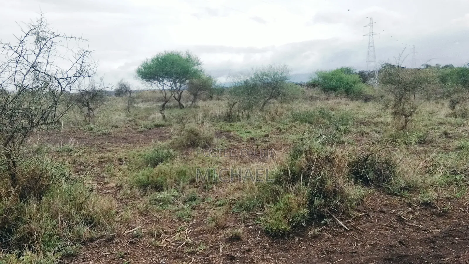 31 Acres for Sale Freehold Titles | Great Investment in Mbirikani