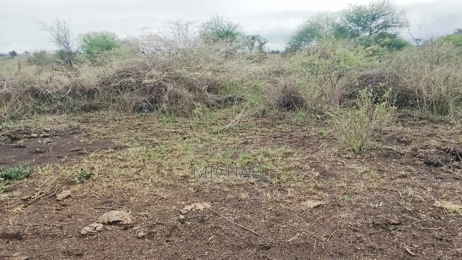31 Acres for Sale Freehold Titles | Great Investment in Mbirikani