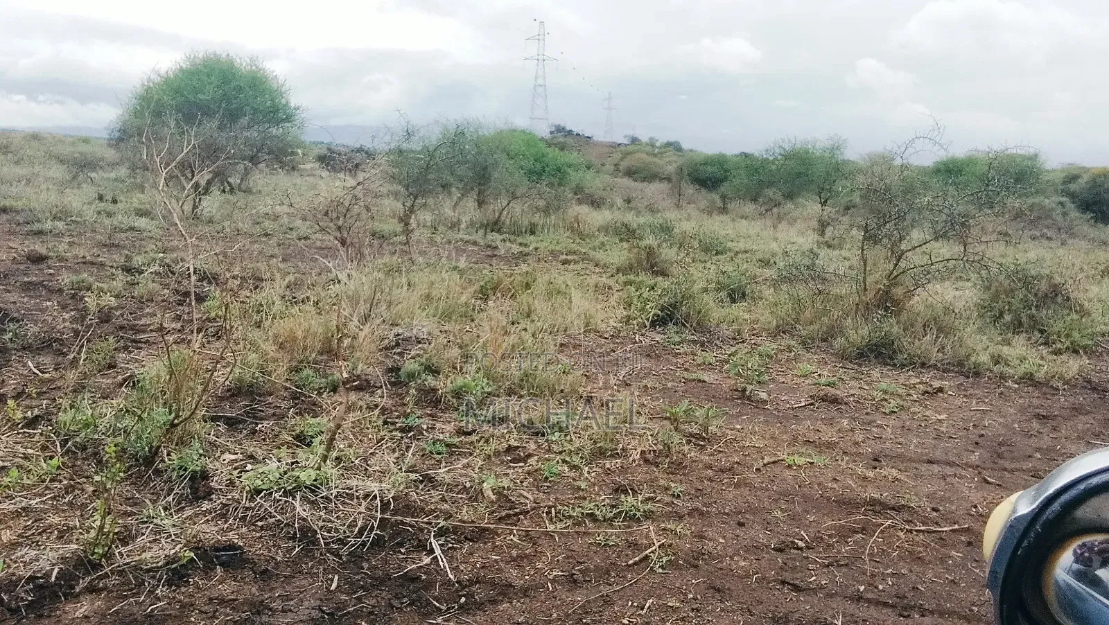 31 Acres for Sale Freehold Titles | Great Investment in Mbirikani