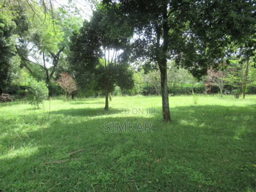 1.4-Acre Plot for Sale in Karen Hardy in Hardy