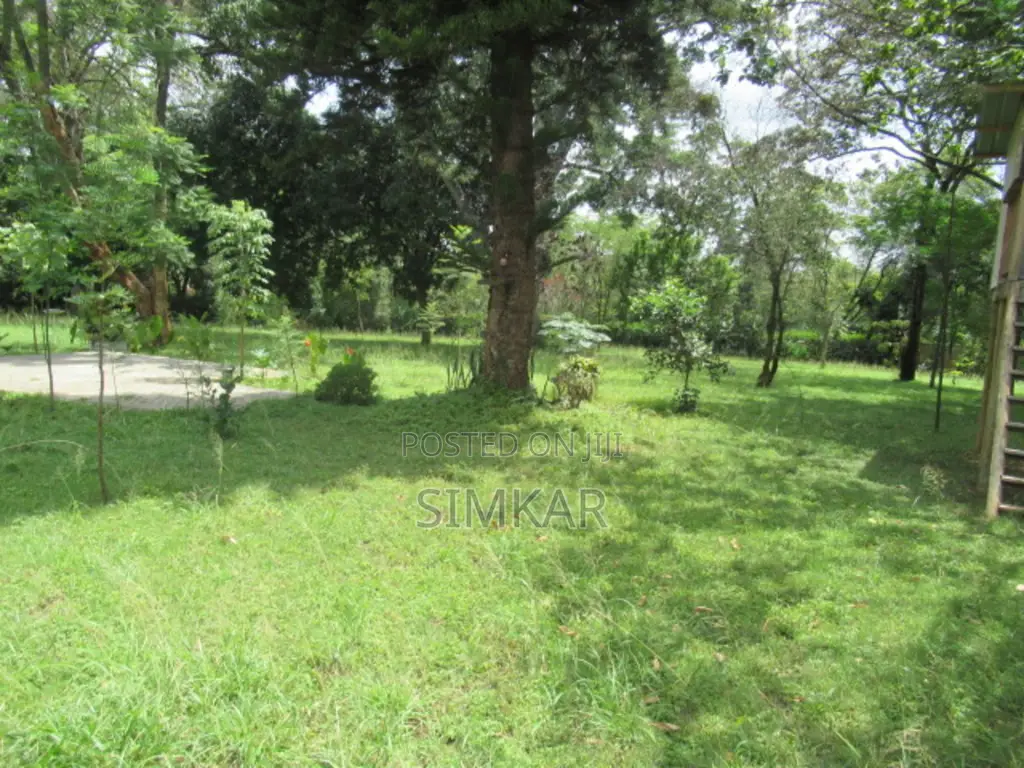 1.4-Acre Plot for Sale in Karen Hardy in Hardy