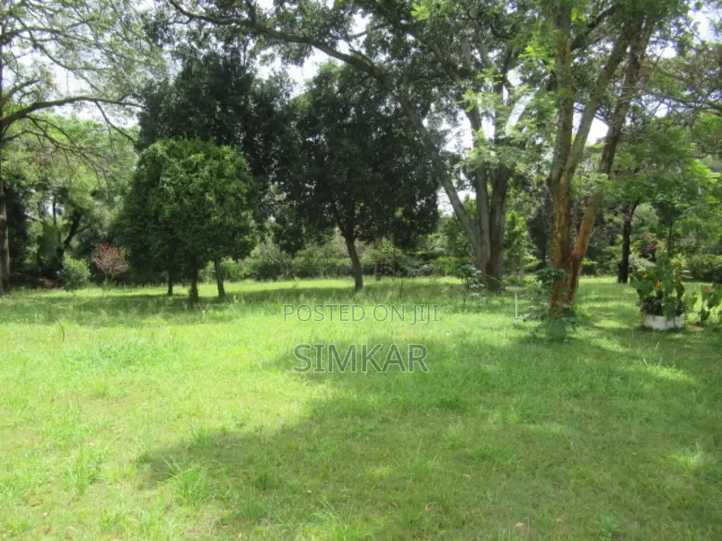 1.4-Acre Plot for Sale in Karen Hardy in Hardy