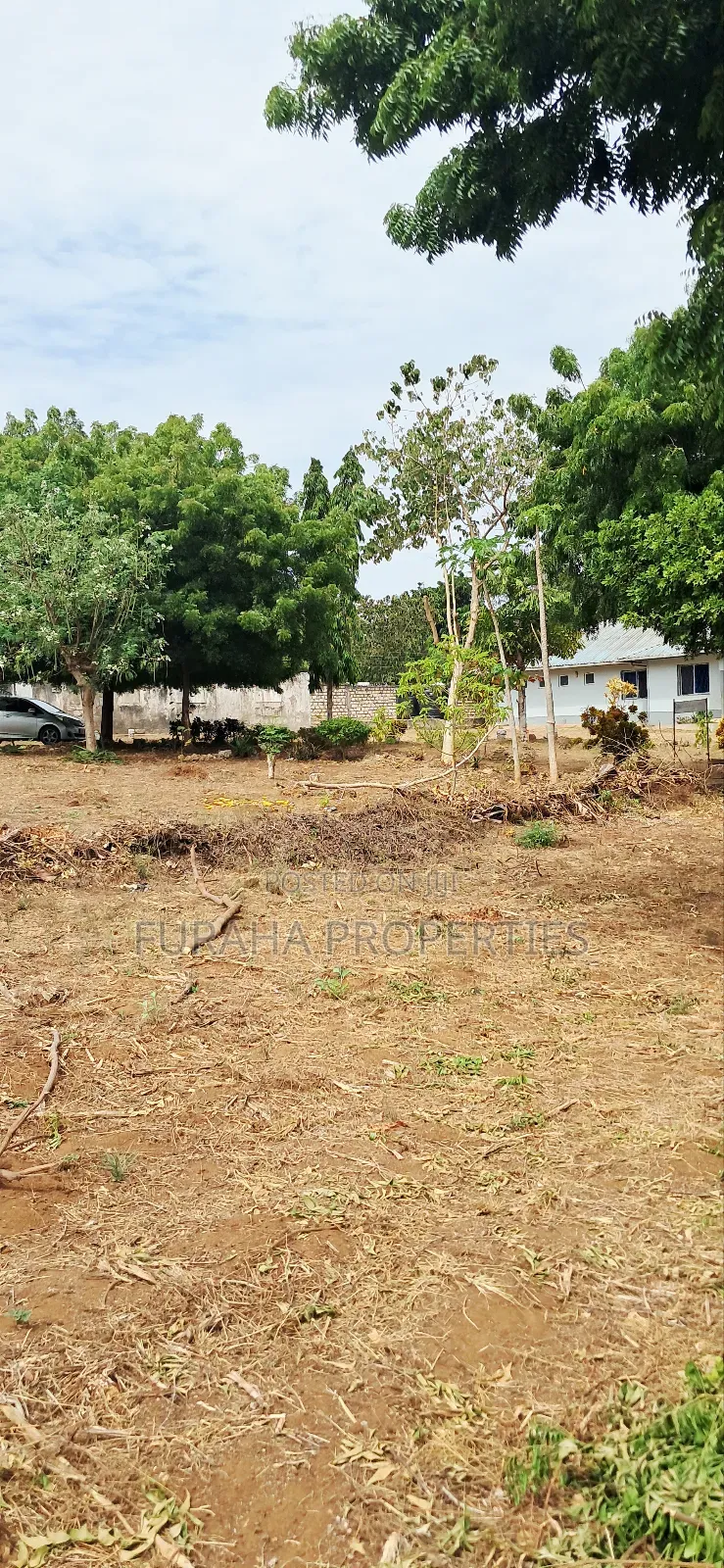 8bdrm House in Kikambala for rent in Kikambala