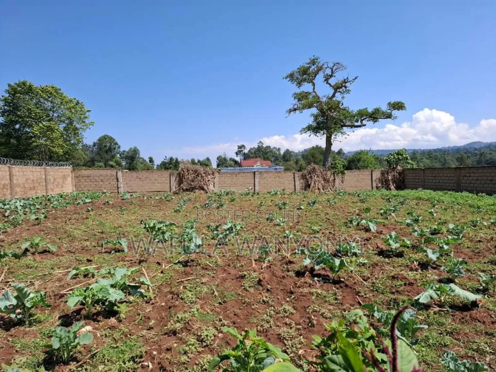 100by100 Namuyemba Kanduyi in Khalaba (Kanduyi)