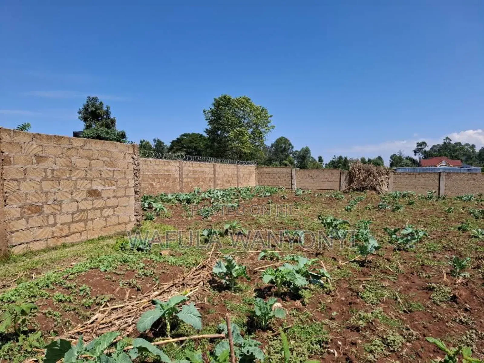 100by100 Namuyemba Kanduyi in Khalaba (Kanduyi)