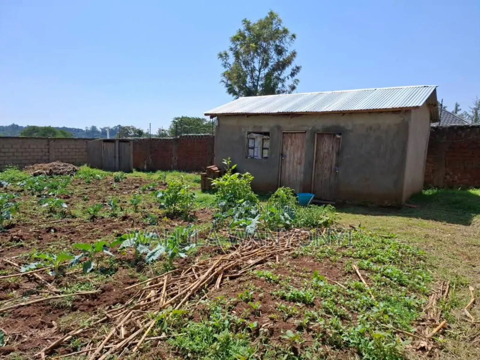 100by100 Namuyemba Kanduyi in Khalaba (Kanduyi)