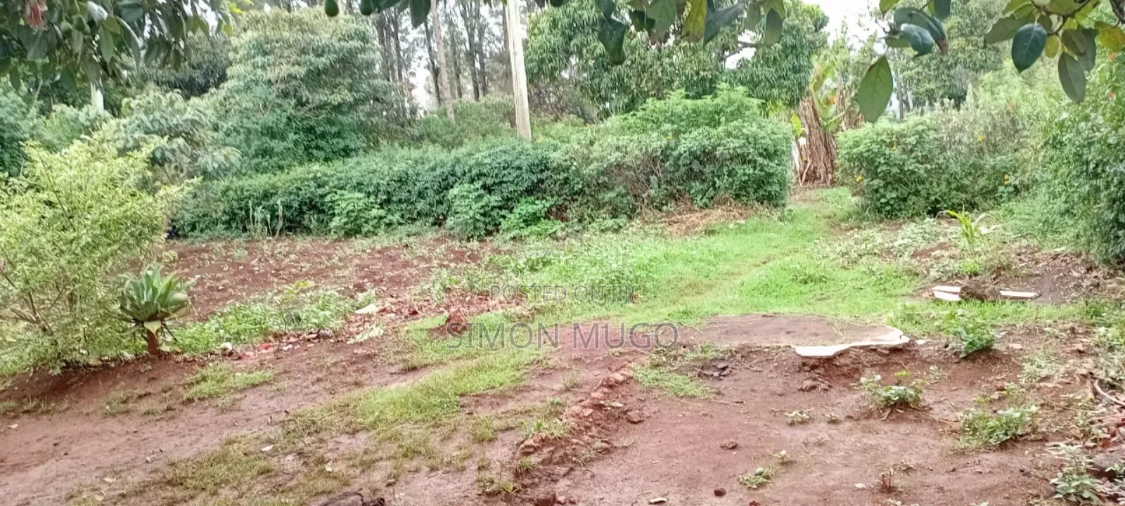 Lower Matasia Prime 100x100 Plot on Tarmac Road in Matasia