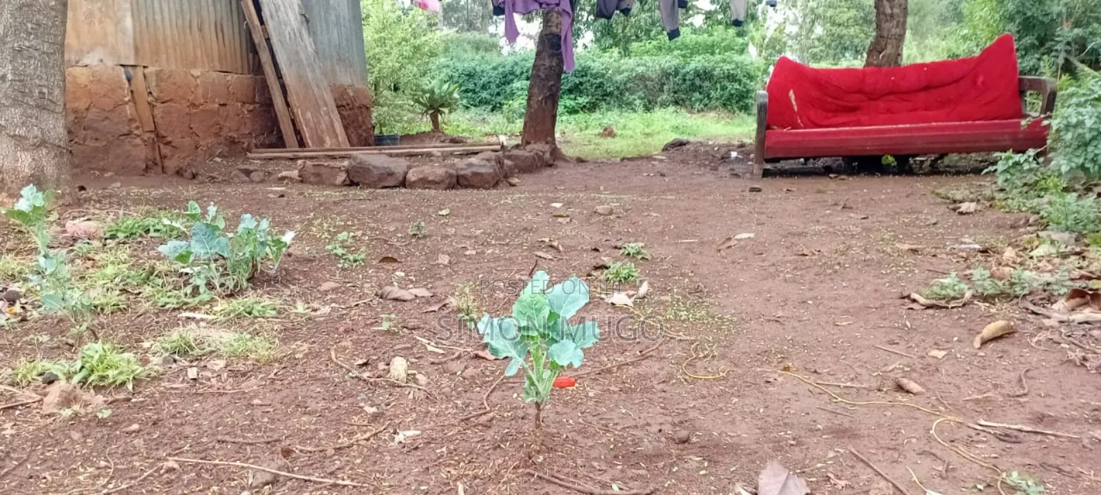 Lower Matasia Prime 100x100 Plot on Tarmac Road in Matasia