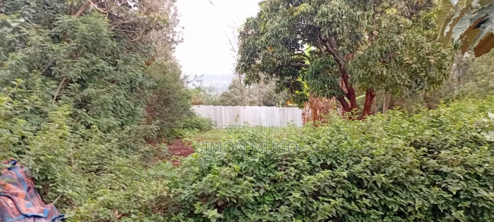 Lower Matasia Prime 100x100 Plot on Tarmac Road in Matasia