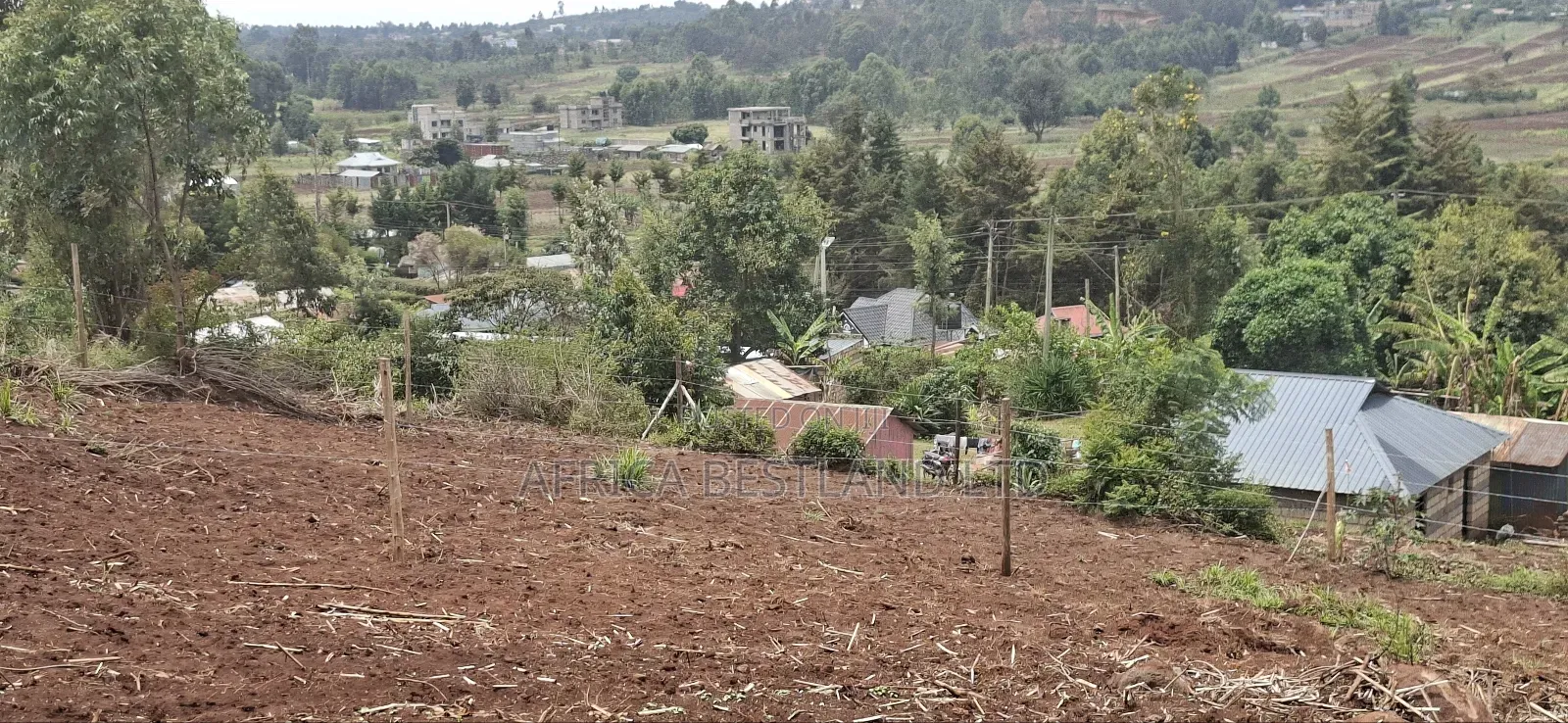 50x100 Residential Plot Available for Sale in Kikuyu Migumoini in Kikuyu