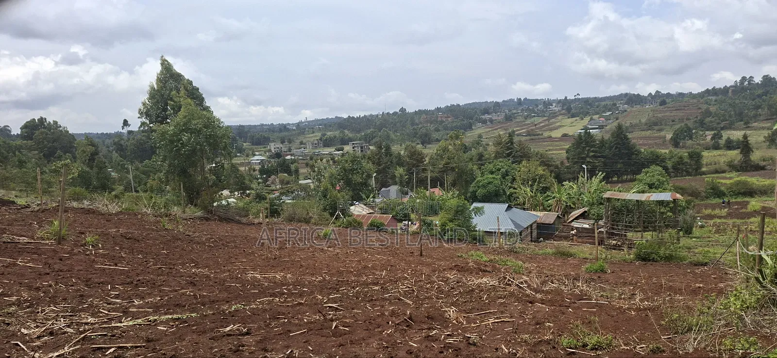 50x100 Residential Plot Available for Sale in Kikuyu Migumoini in Kikuyu