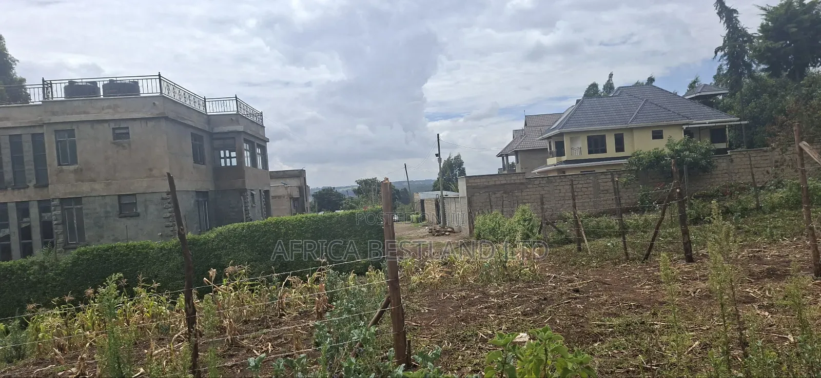 Available 4 Plots 50x100 in Muguga Thamanda in Kikuyu