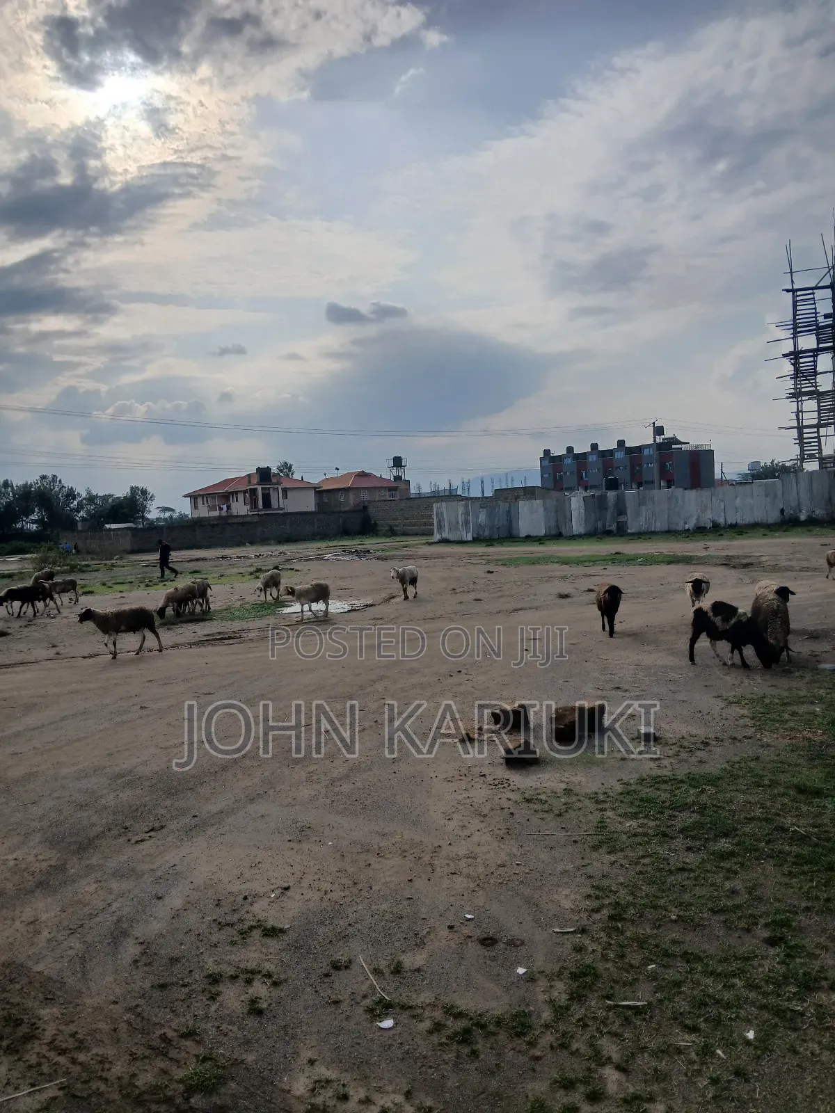 50x100 Plots in Naivasha Munuga Area Near Astorian Resortand Delamere in Naivasha