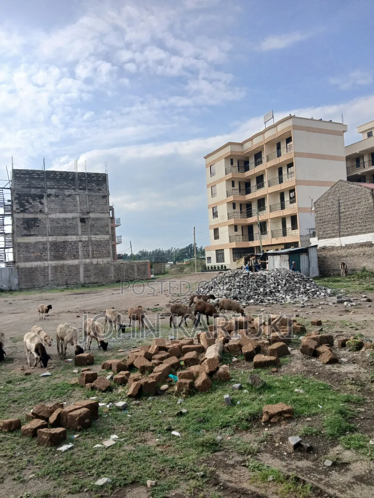 50x100 Plots in Naivasha Munuga Area Near Astorian Resortand Delamere in Naivasha