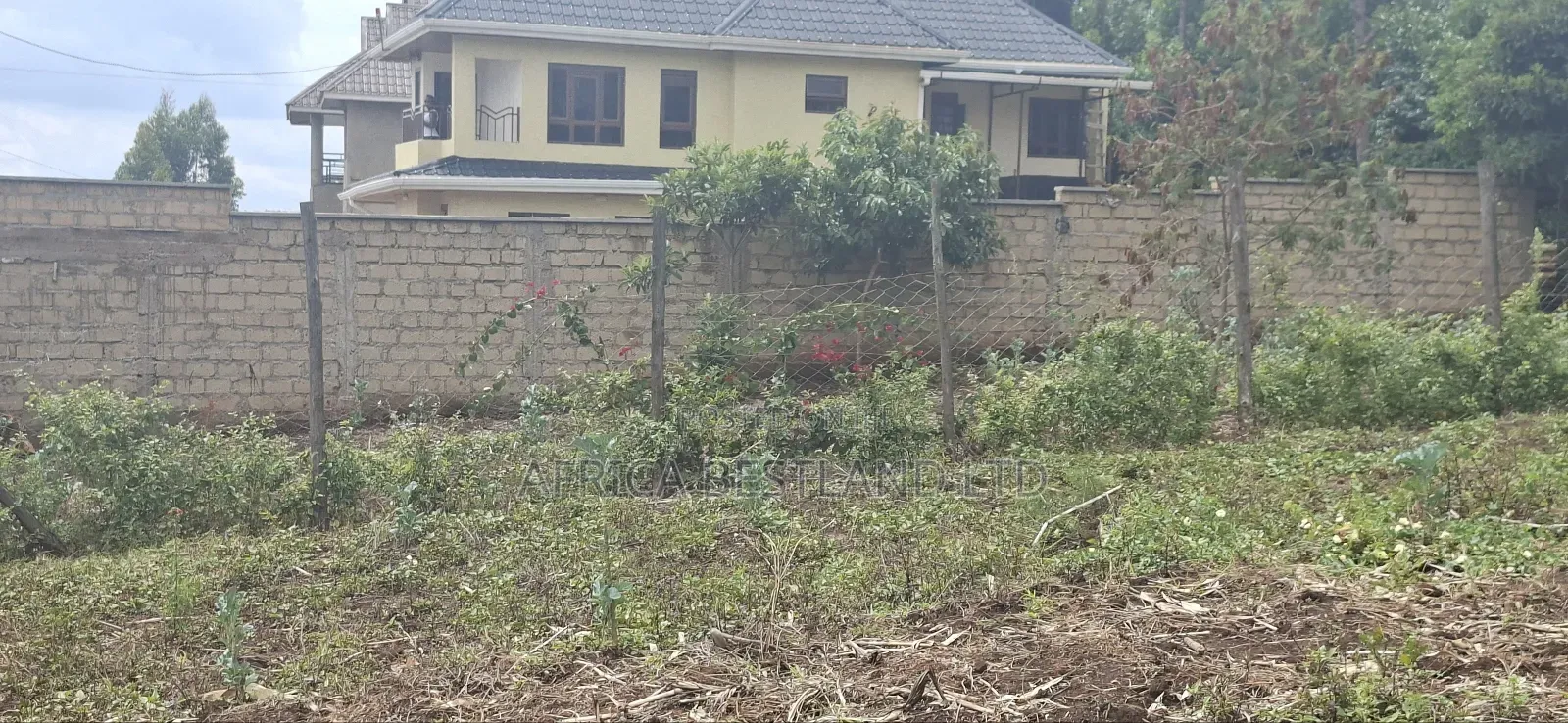 Location Gikambura Kiambu County 50x100 Plot in Kikuyu