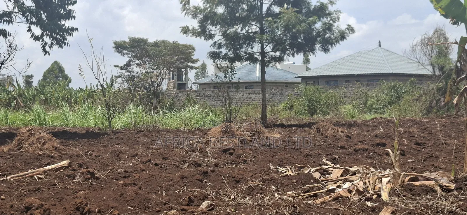 Location Gikambura Kiambu County 50x100 Plot in Kikuyu