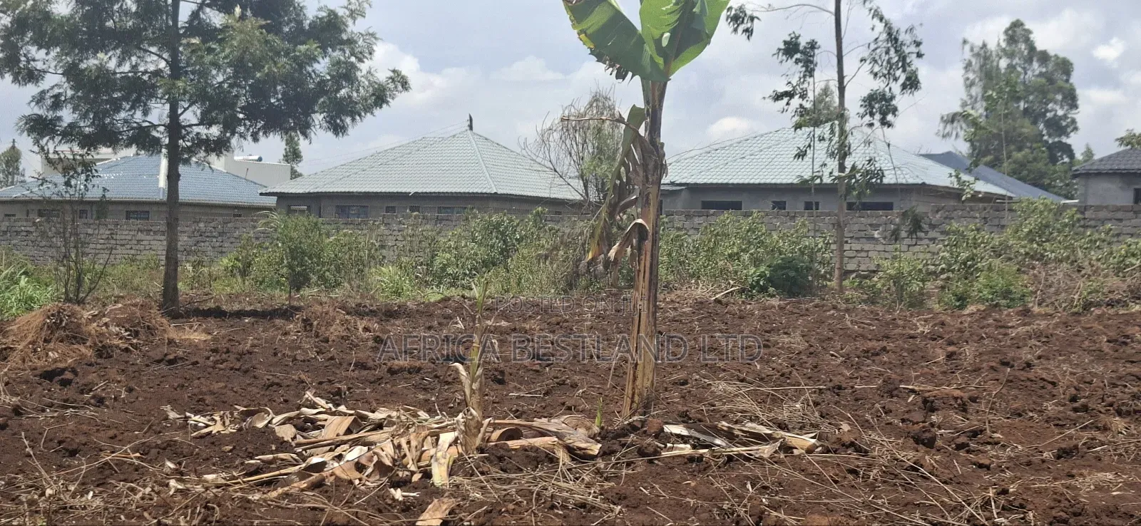 Location Gikambura Kiambu County 50x100 Plot in Kikuyu