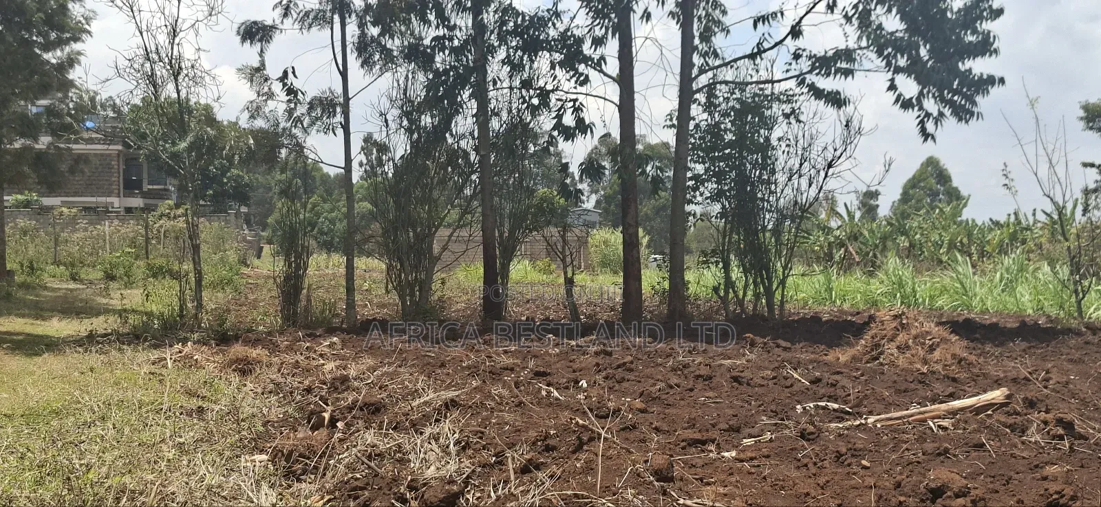 Location Gikambura Kiambu County 50x100 Plot in Kikuyu