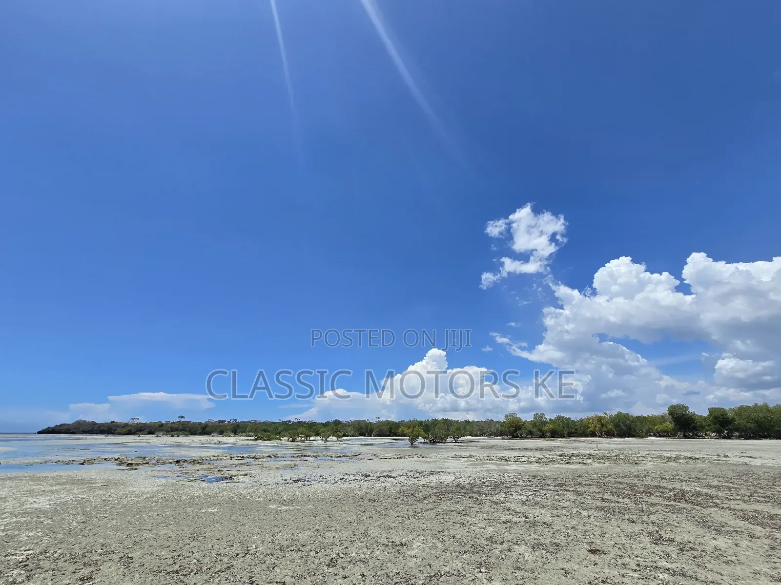 Prime Land for Sale in Msambweni in Mombasa CBD