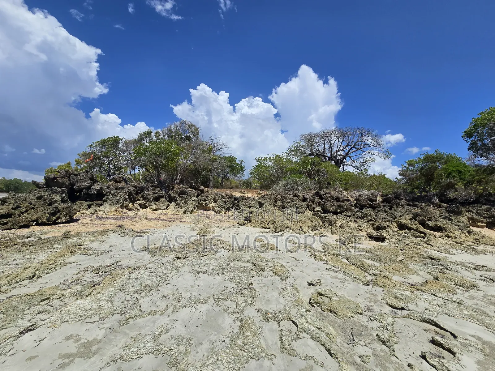 Prime Land for Sale in Msambweni in Mombasa CBD