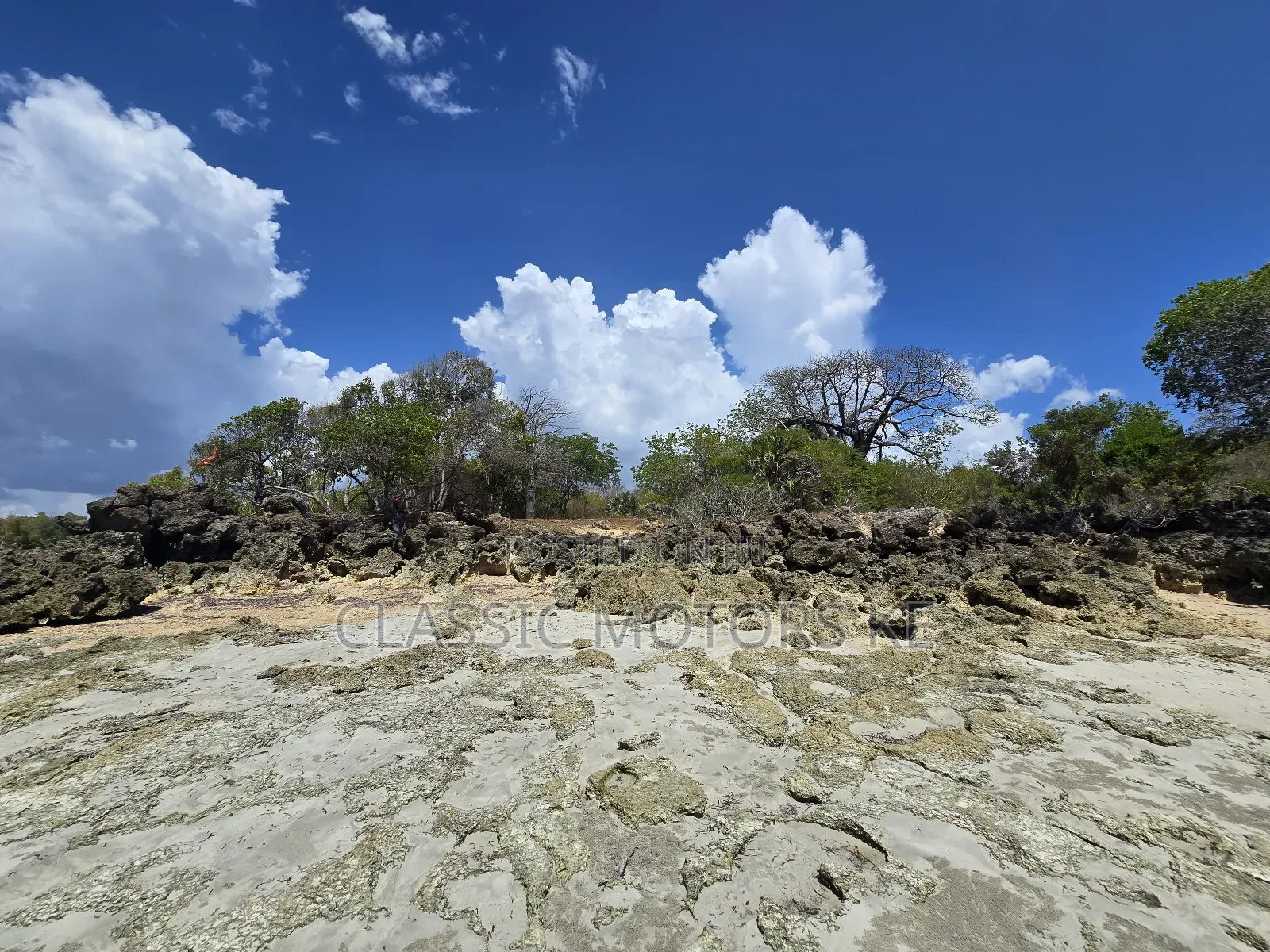 Prime Land for Sale in Msambweni in Mombasa CBD