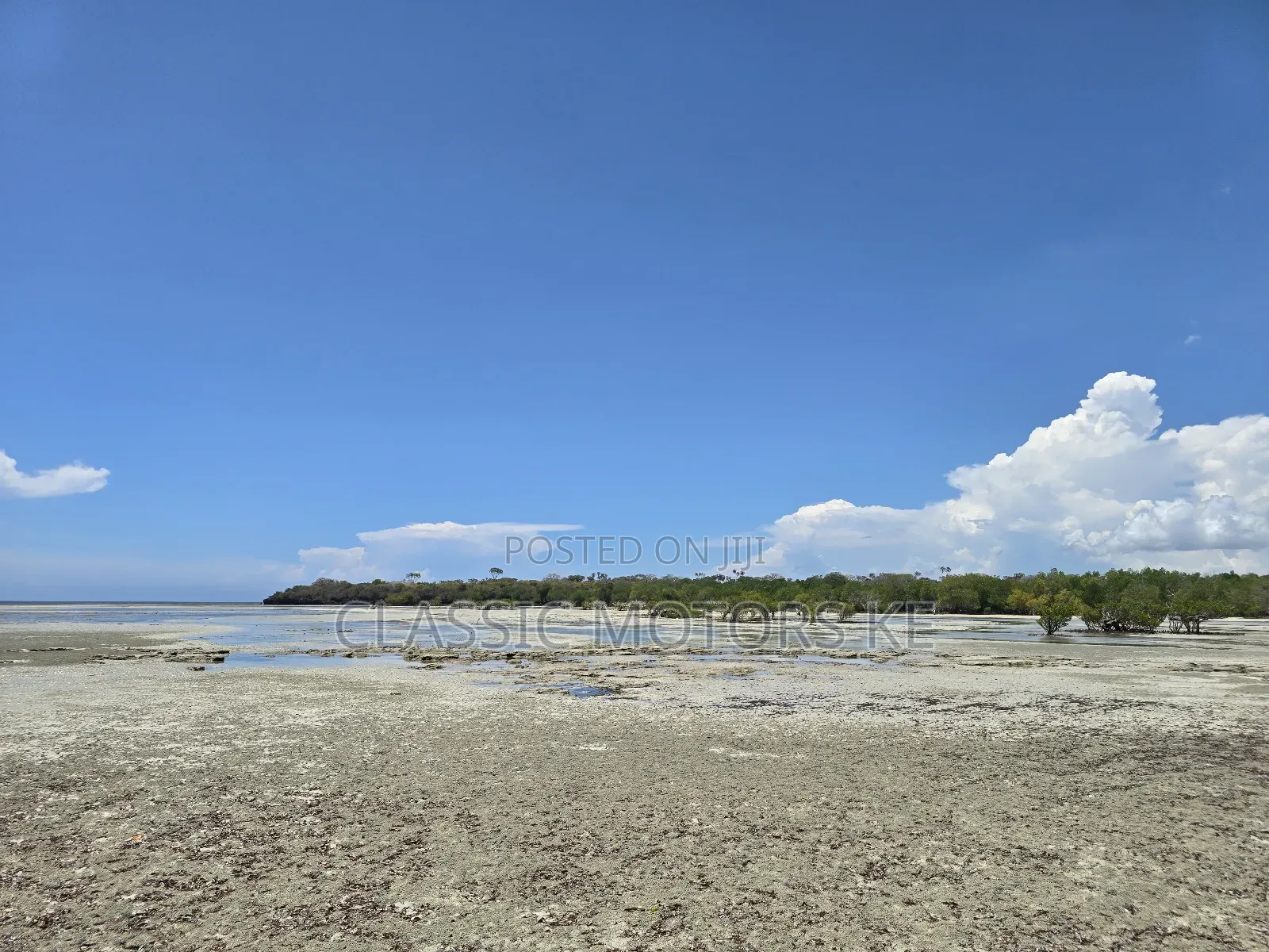 Prime Land for Sale in Msambweni in Mombasa CBD