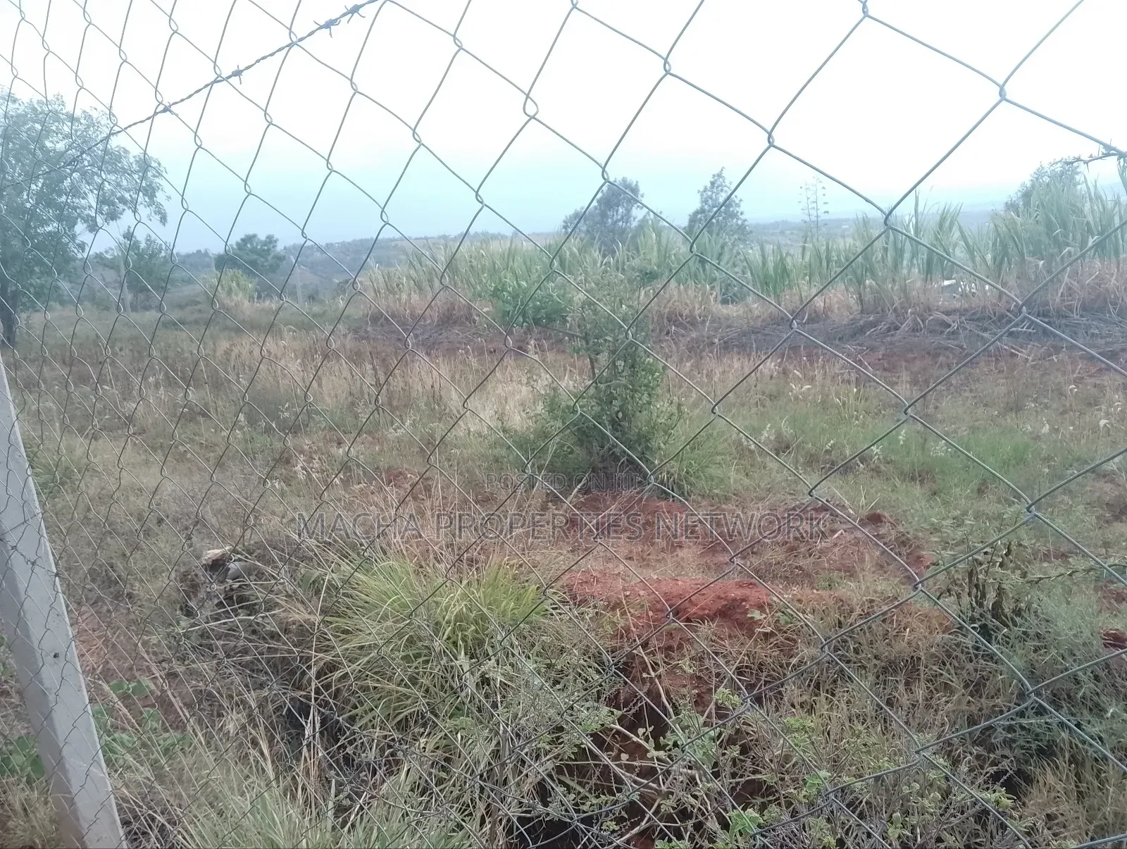 Prime 1 Half Acre Mua Hills. in Mua Hills