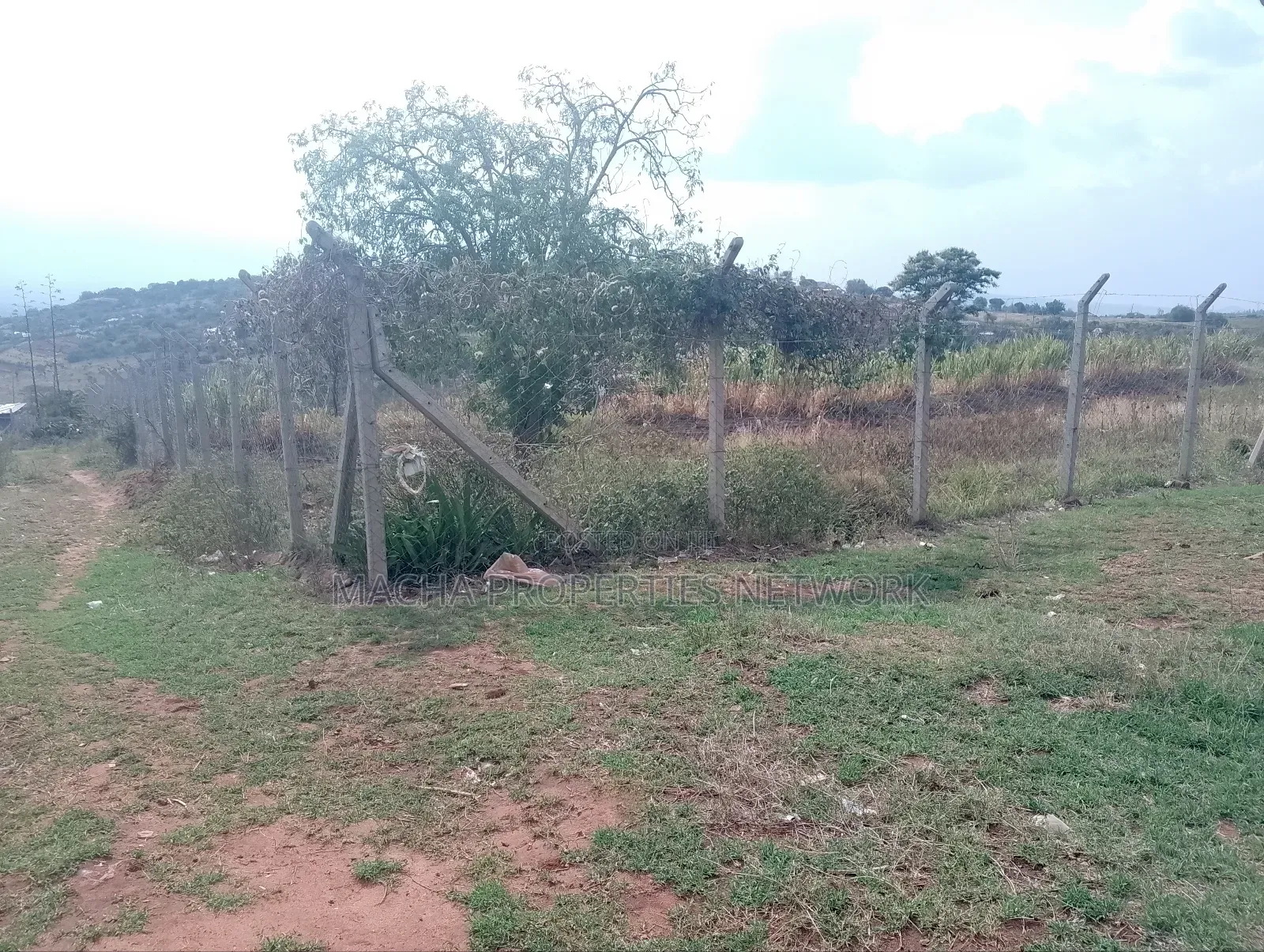 Prime 1 Half Acre Mua Hills. in Mua Hills