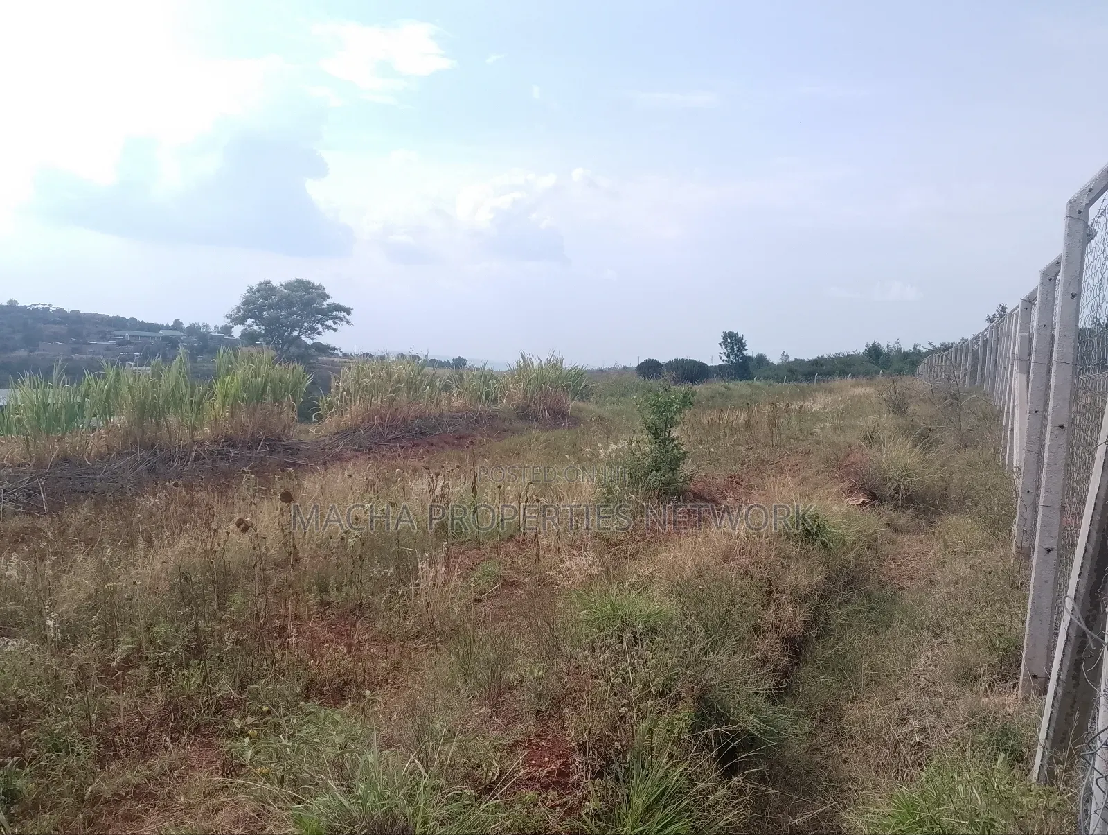 Prime 1 Half Acre Mua Hills. in Mua Hills