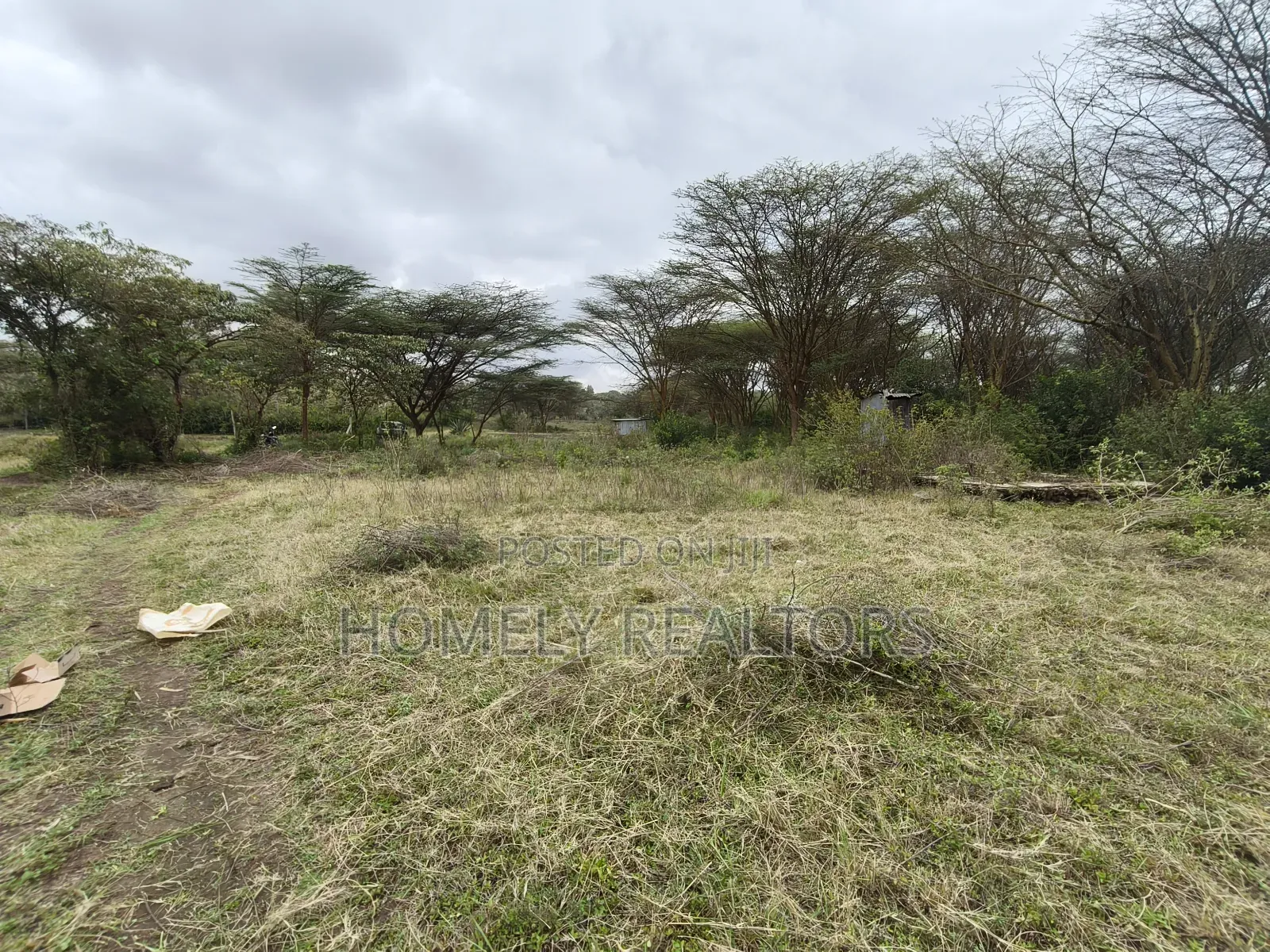 Eighth Acre Plot for Sale in Ongata Rongai, Acacia Area in Nkoroi