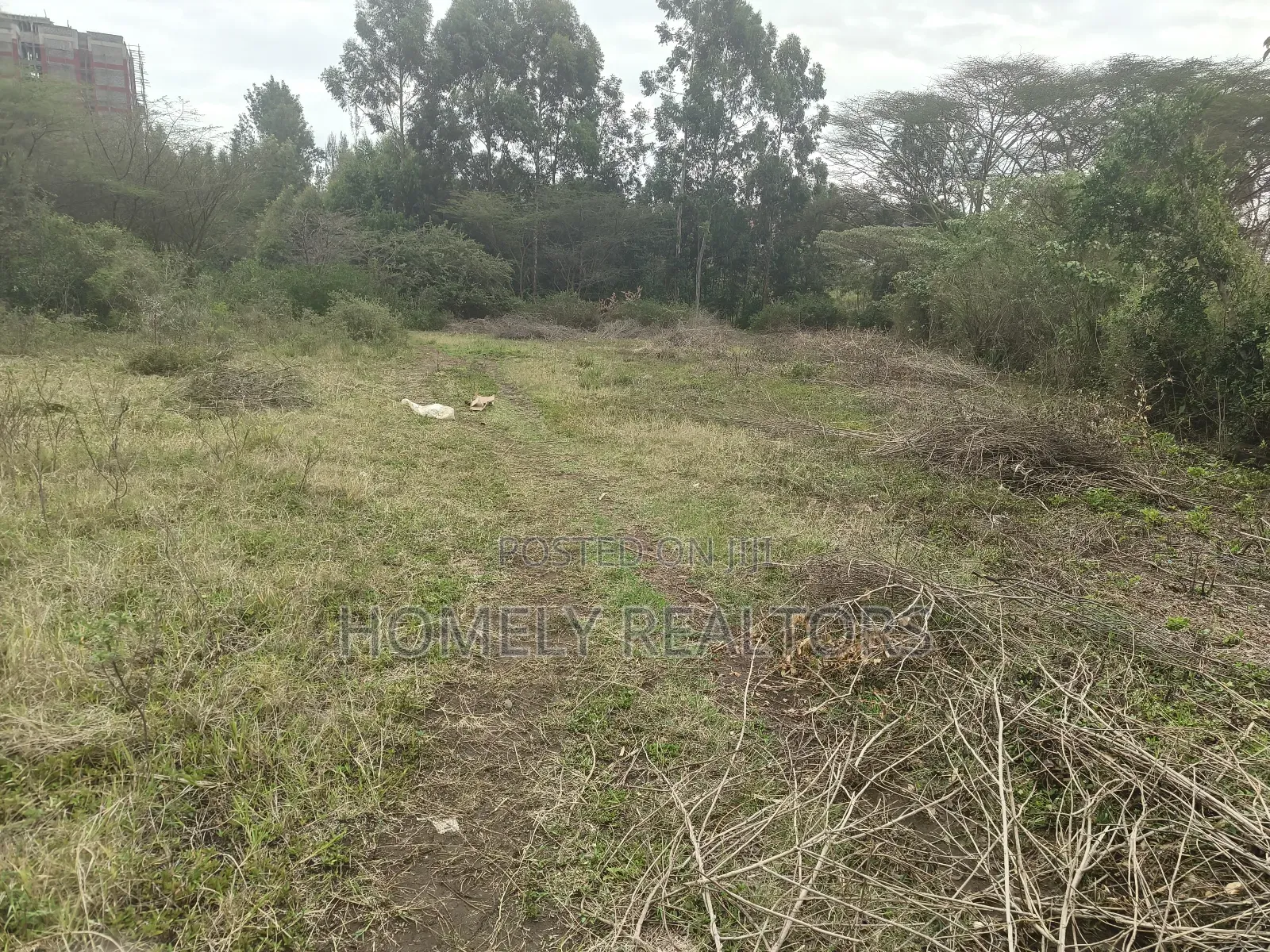 Eighth Acre Plot for Sale in Ongata Rongai, Acacia Area in Nkoroi