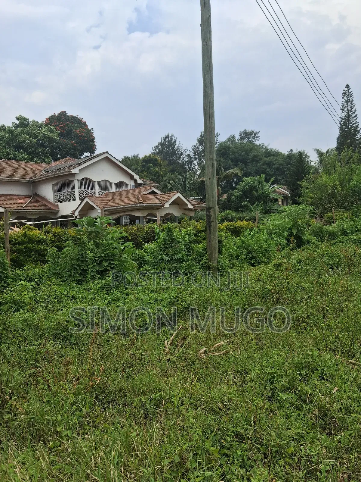 Muthithi Gardens Kiambu Road Prime Secure Serviced 1/2ac With Hedge in Kiambu / Kiambu 