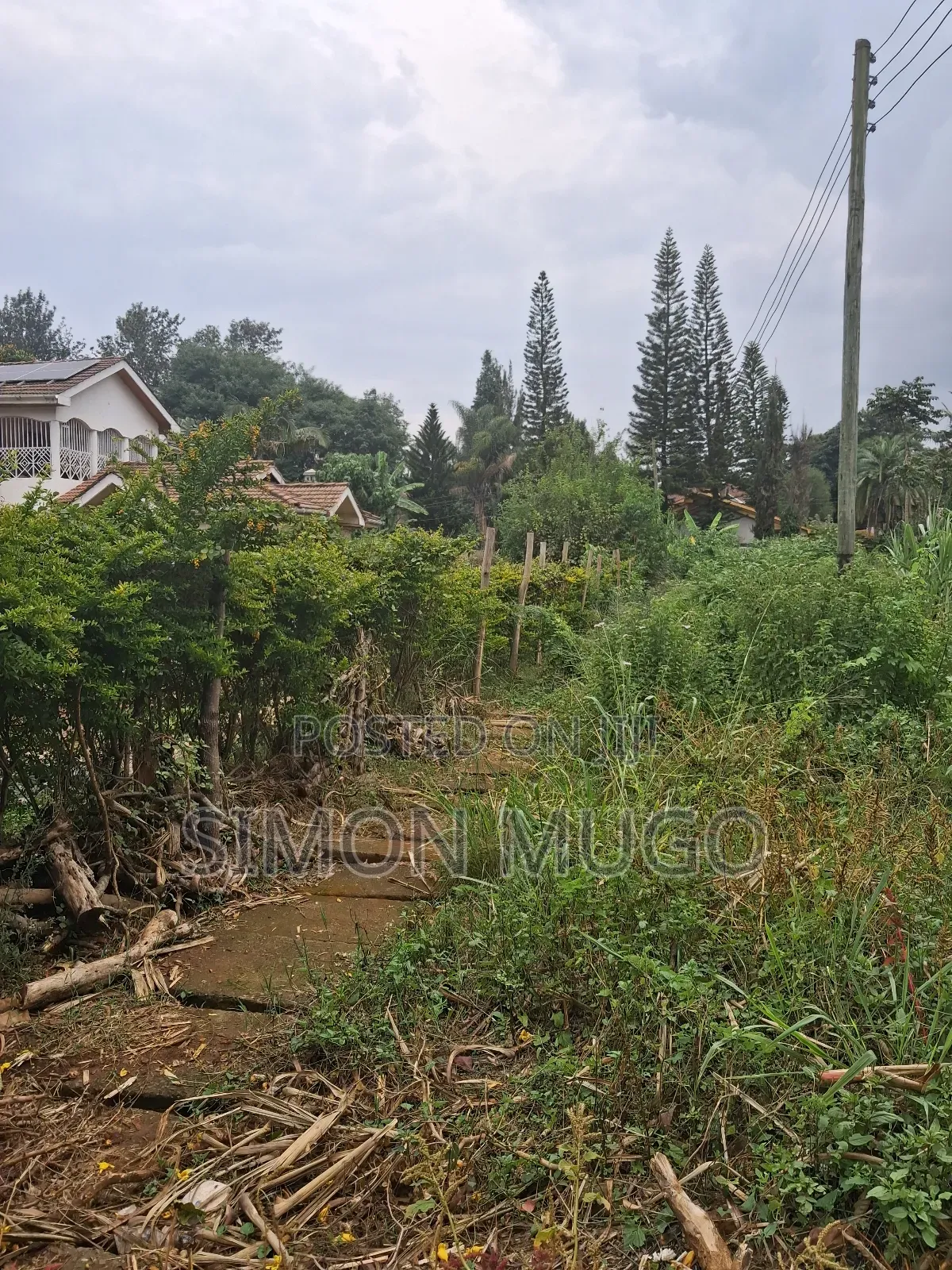 Muthithi Gardens Kiambu Road Prime Secure Serviced 1/2ac With Hedge in Kiambu / Kiambu 