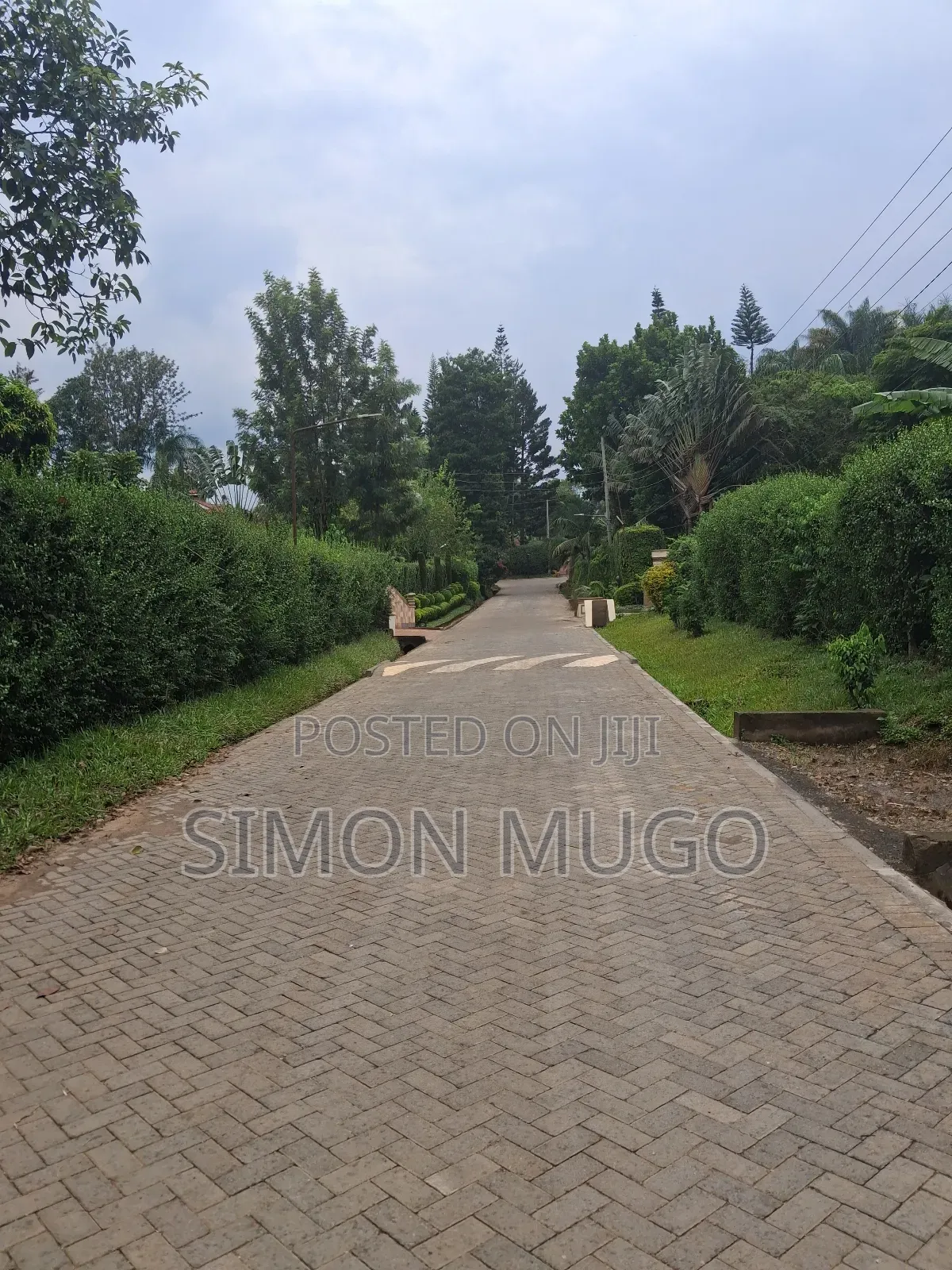 Muthithi Gardens Kiambu Road Prime Secure Serviced 1/2ac With Hedge in Kiambu / Kiambu 