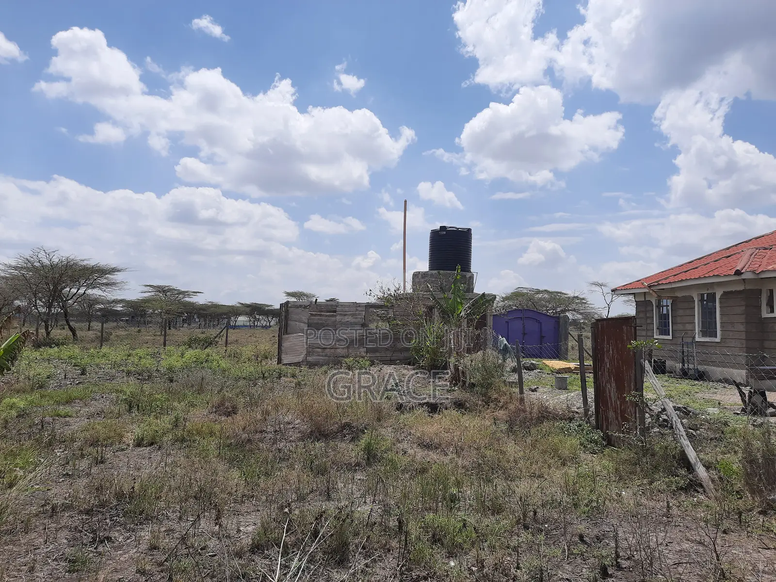 Diaspora Gardens Isinya in Isinya