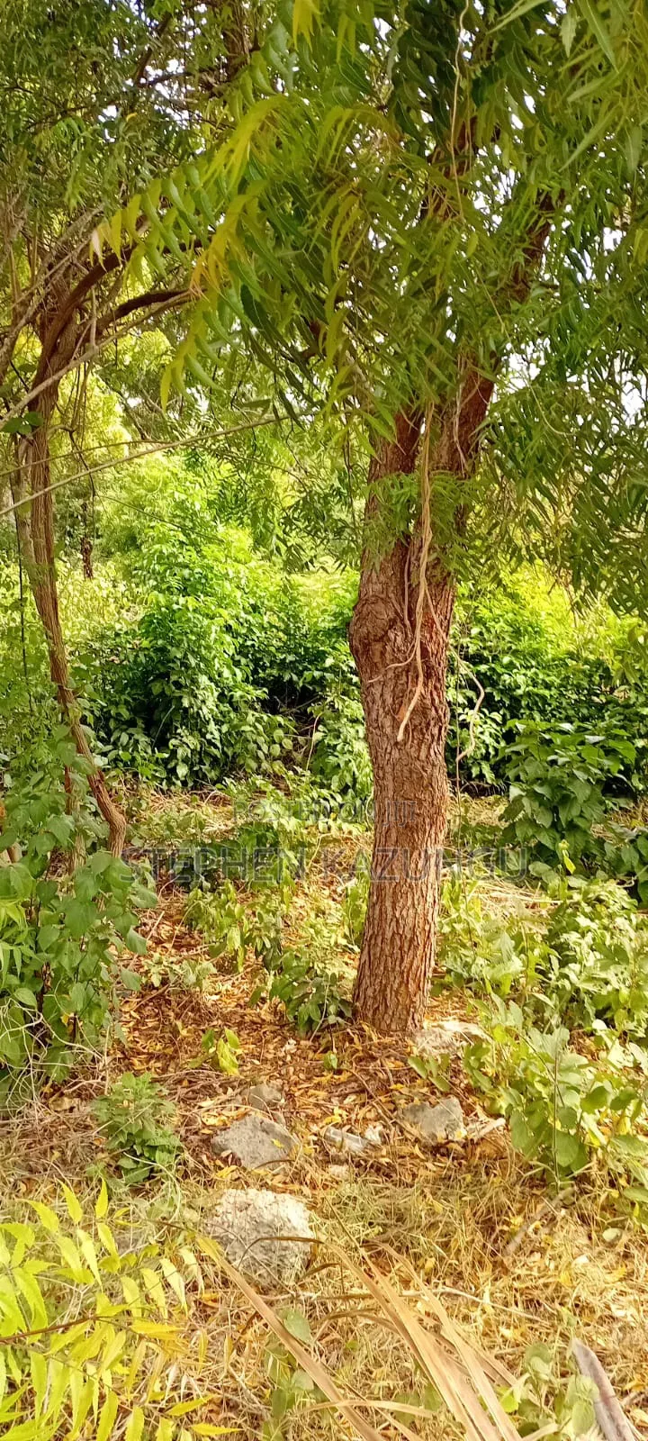 End of 2nd Row 1/2 Acre Plot at Diani Beach Manyata Zone in Ukunda