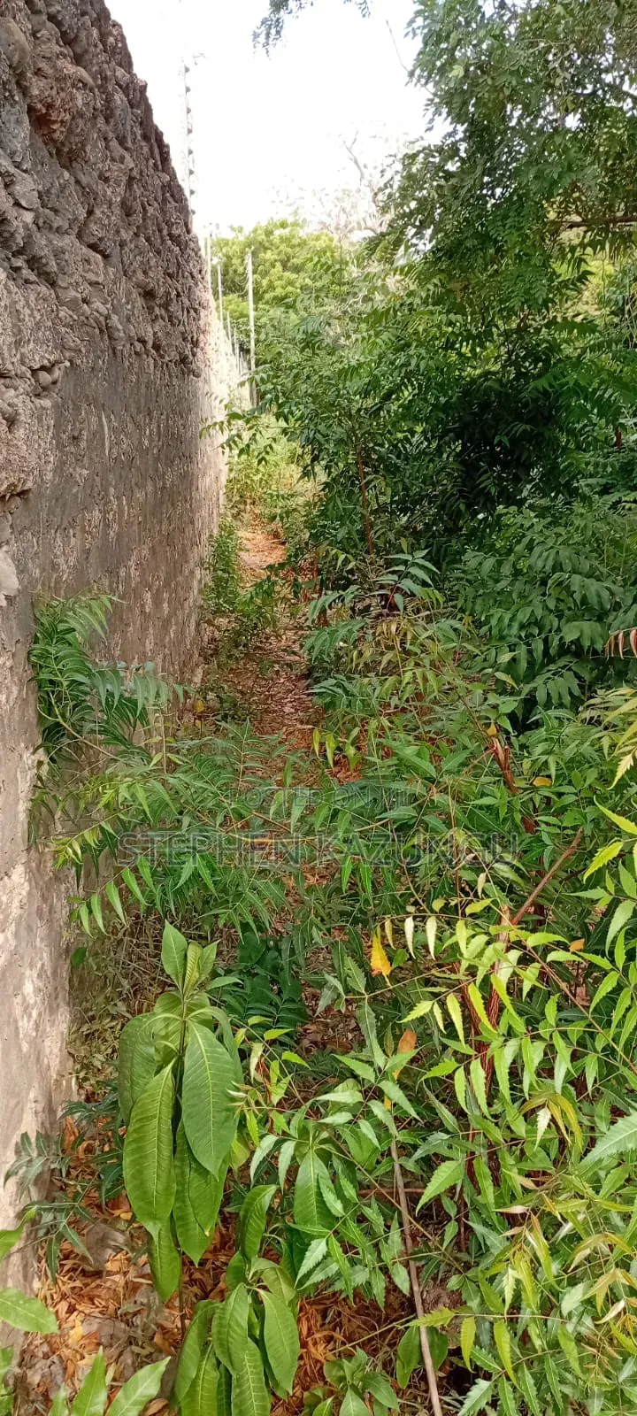 End of 2nd Row 1/2 Acre Plot at Diani Beach Manyata Zone in Ukunda