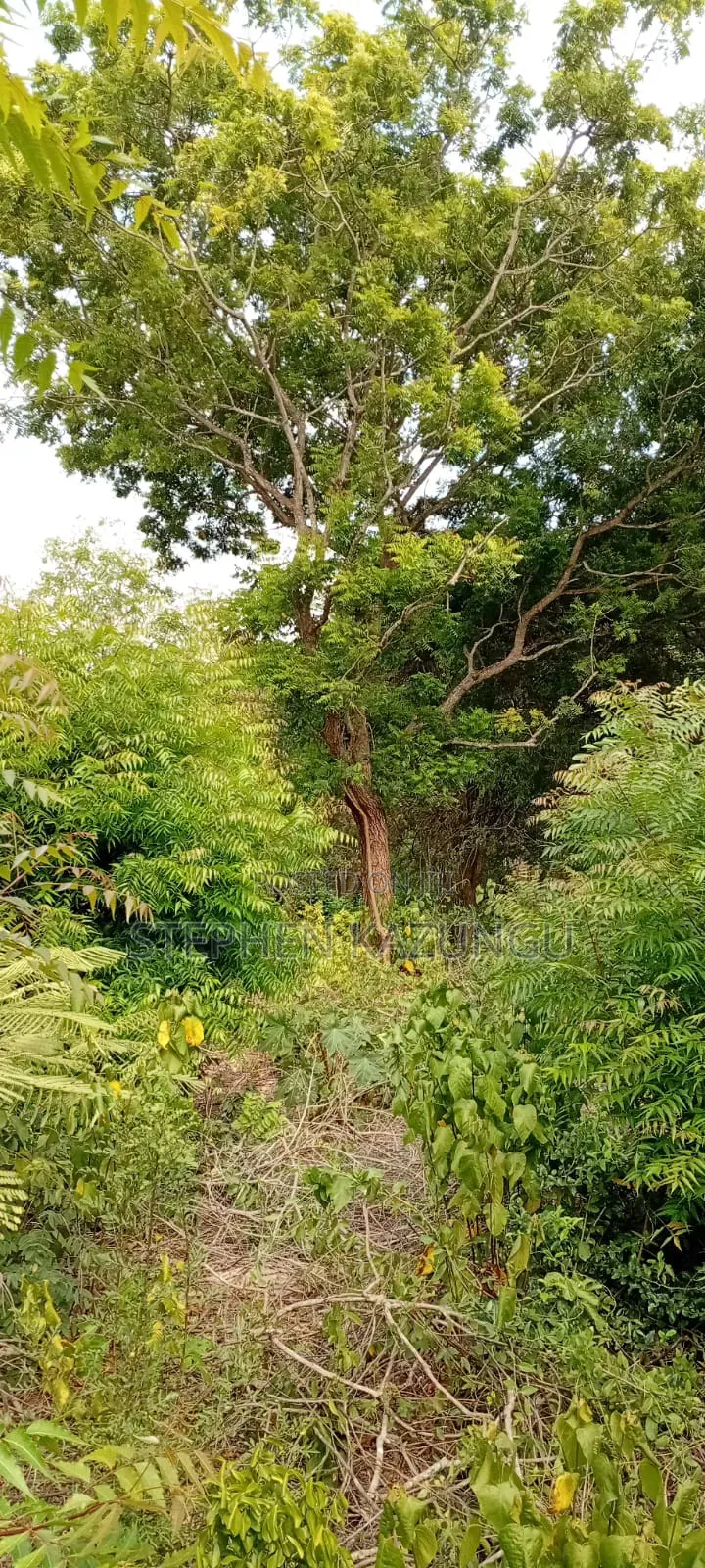 End of 2nd Row 1/2 Acre Plot at Diani Beach Manyata Zone in Ukunda