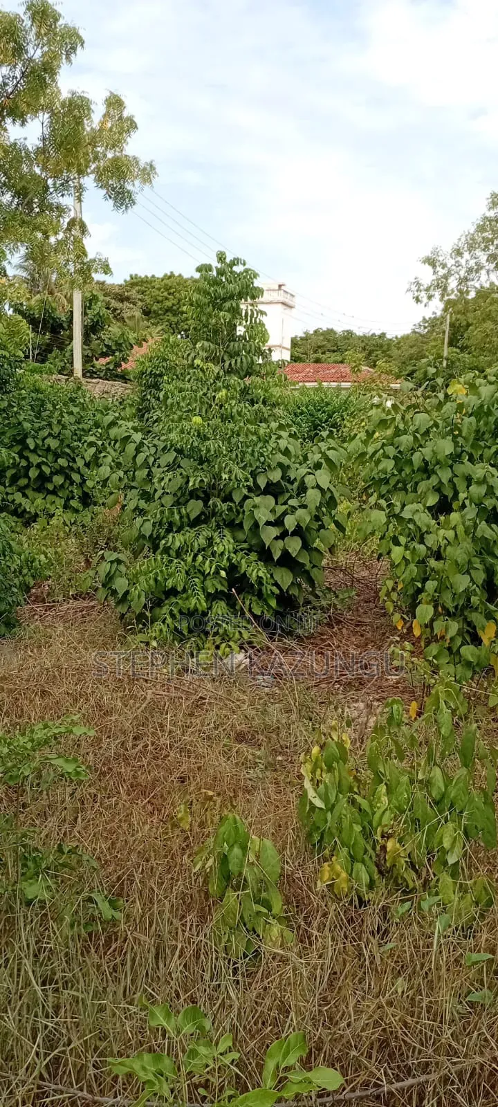 End of 2nd Row 1/2 Acre Plot at Diani Beach Manyata Zone in Ukunda