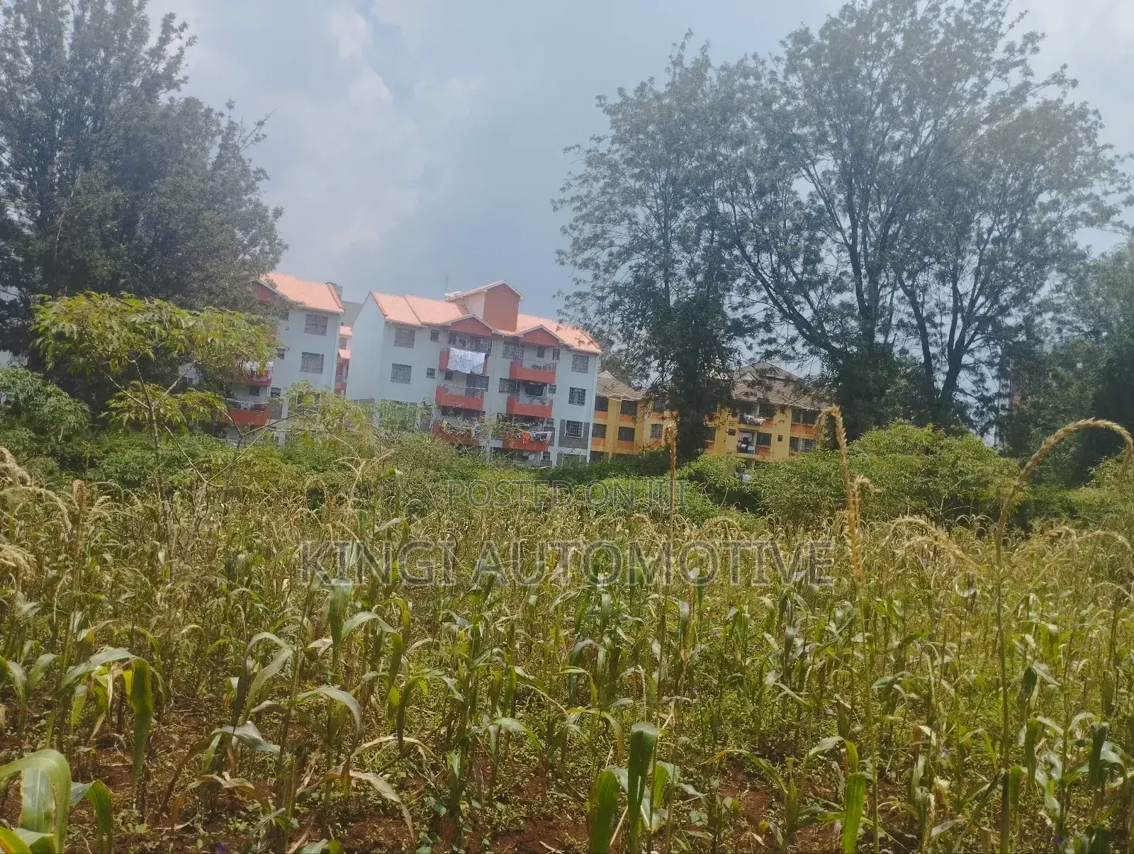 3 Quarter an Acre for Sale in Thindigua in Thindigua/Kasarini