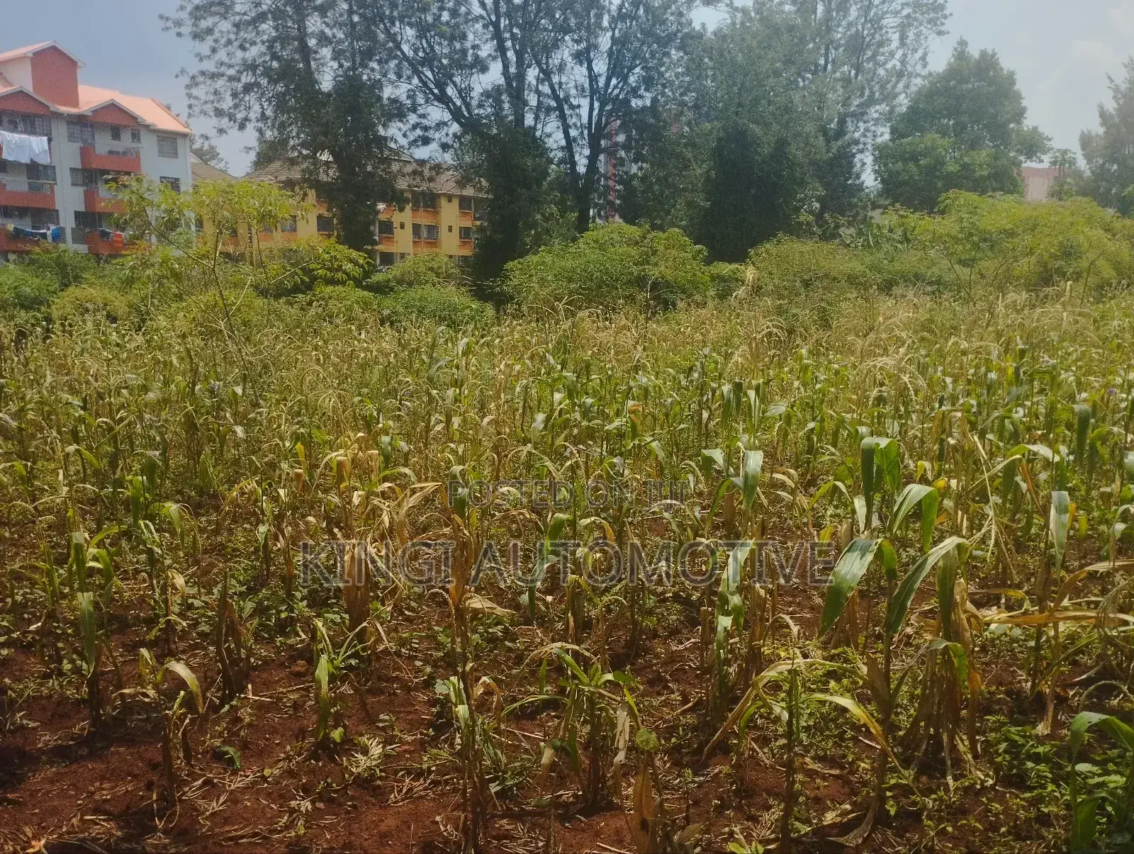 3 Quarter an Acre for Sale in Thindigua in Thindigua/Kasarini