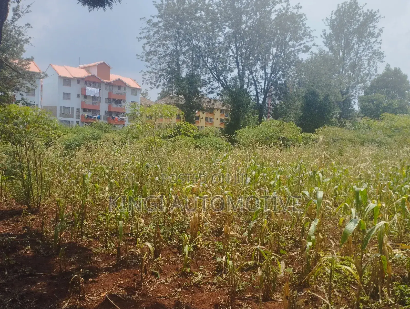 3 Quarter an Acre for Sale in Thindigua in Thindigua/Kasarini