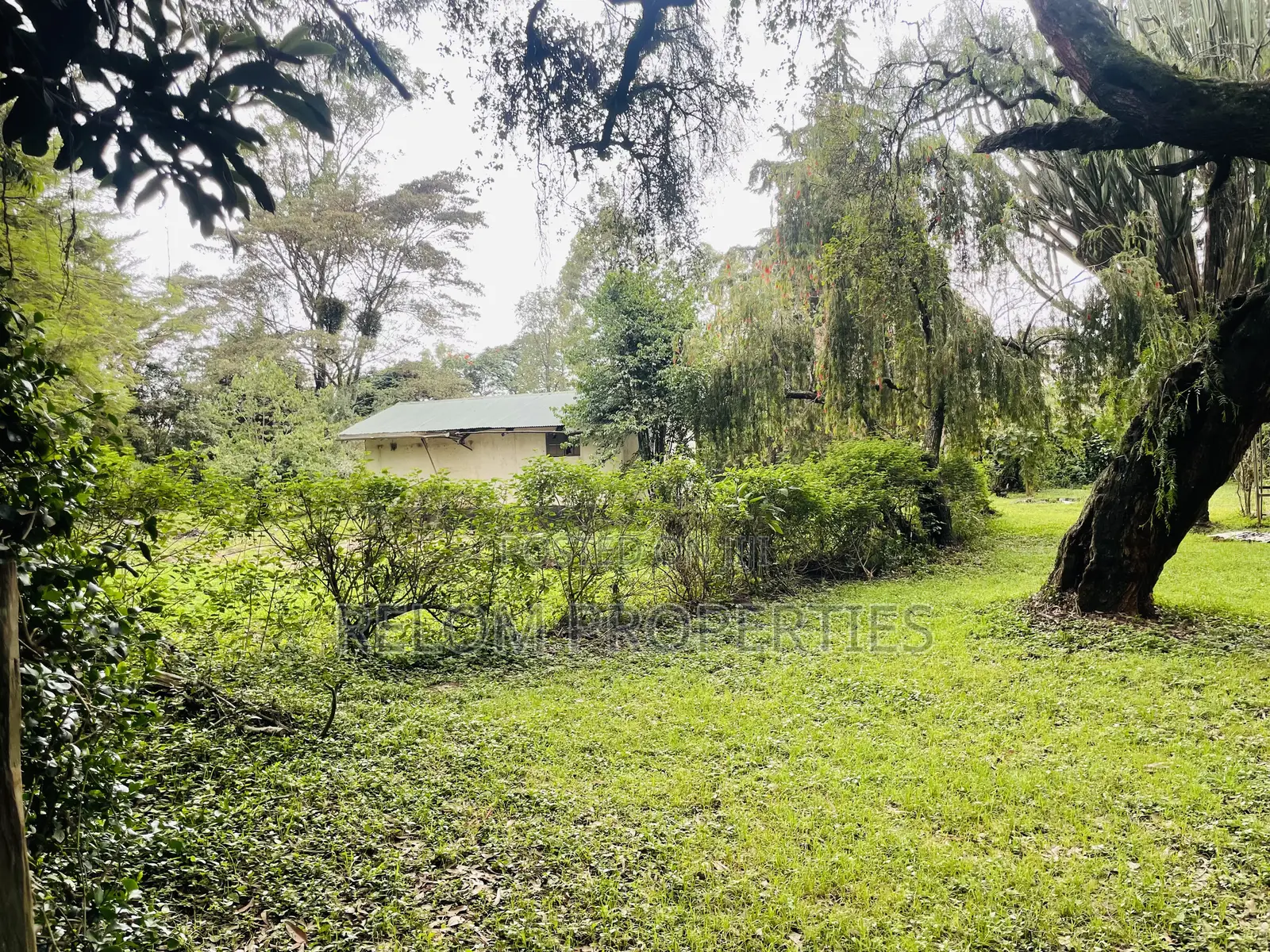 1 Acre Plot for Sale - Karen in Karen C