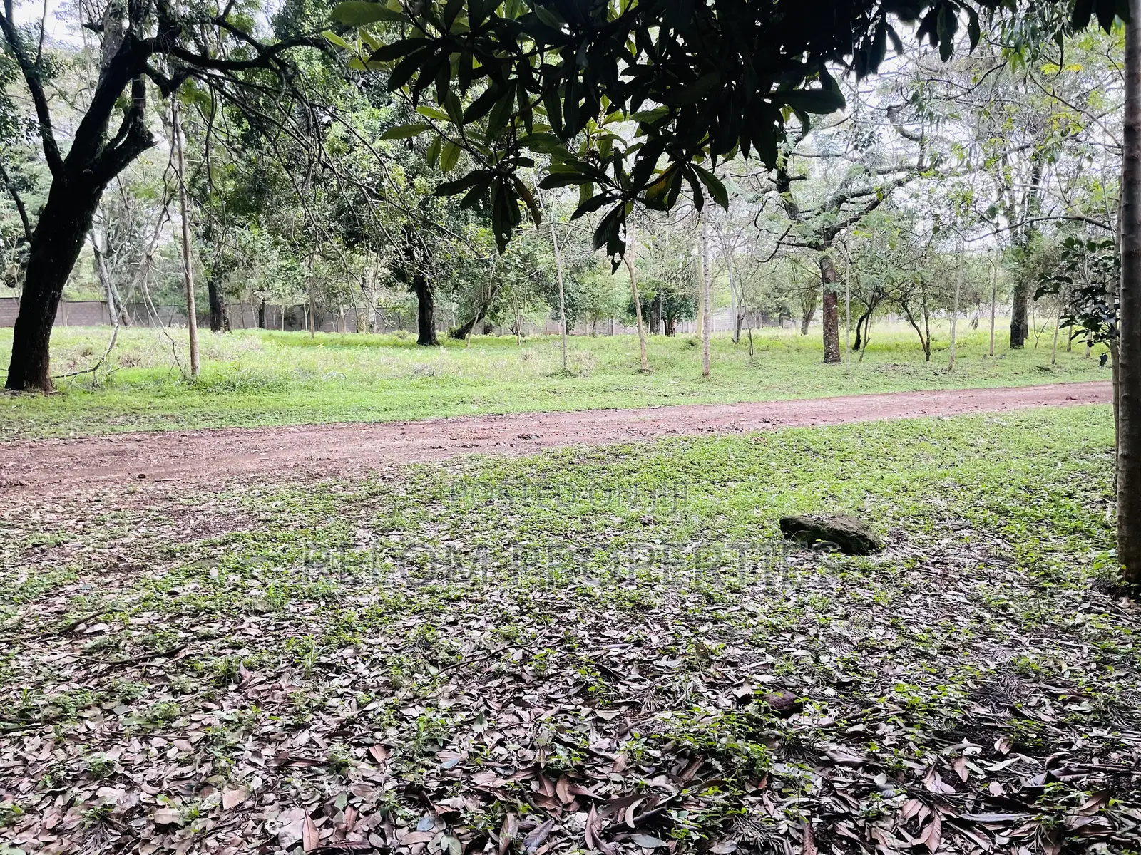 1 Acre Plot for Sale - Karen in Karen C